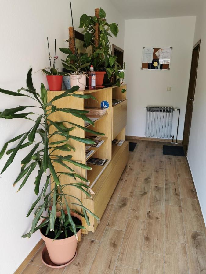 Apartment Martina Banjol Екстер'єр фото