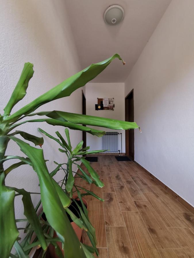 Apartment Martina Banjol Екстер'єр фото